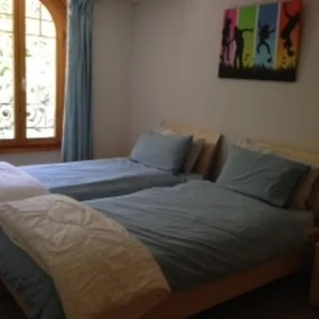 Great View Floor Spacious Flat With Pool And Gym Chateau-d'Oex